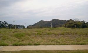Image 13 - 14953