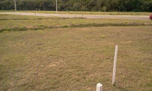 Image 5 - 14953