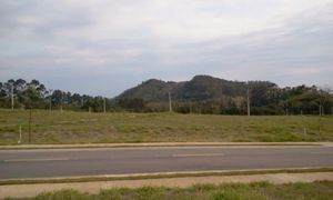 Image 7 - 14953