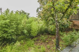 Image 20 - 149628