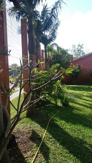 Image 6 - 149862