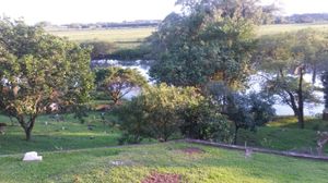 Image 9 - 150100