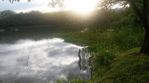 Image 10 - 150100