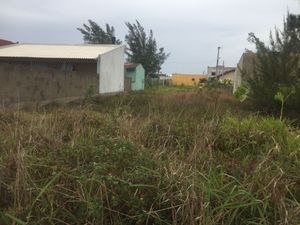 Image 3 - 150259
