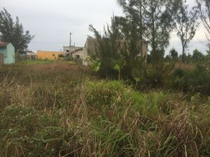 Image 4 - 150259