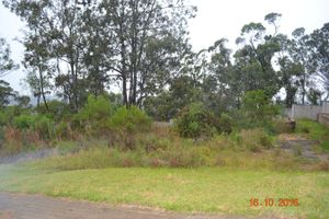 Image 84 - 150614