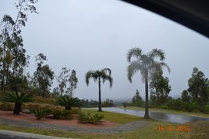 Image 78 - 150614