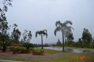 Image 86 - 150614