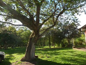 Image 7 - 150669