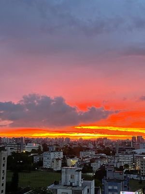 Image 29 - 150806