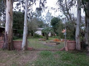 Image 9 - 150991