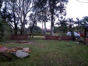 Image 7 - 150991