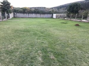 Image 17 - 151553