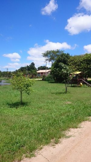 Image 12 - 152151