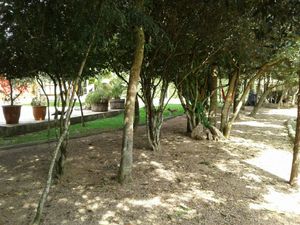 Image 30 - 152437