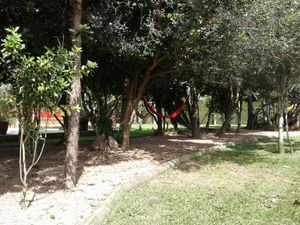Image 4 - 152437