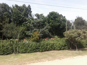 Image 5 - 152437