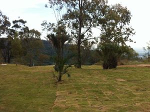 Image 78 - 152533