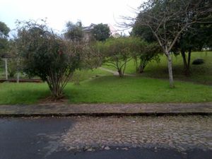 Image 15 - 15303