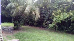 Image 49 - 153368