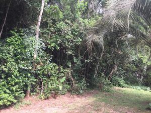 Image 50 - 153368