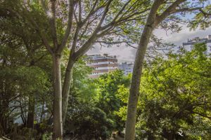 Image 33 - 153545