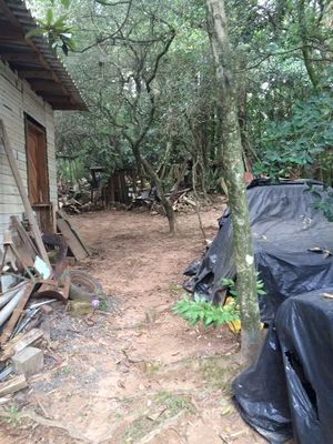 Image 3 - 153897