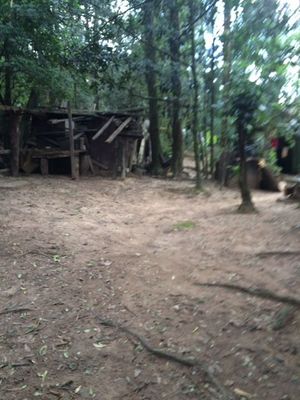 Image 0 - 153897