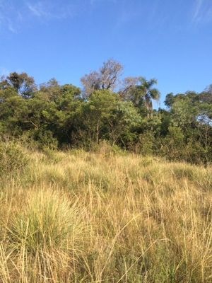 Image 4 - 153901