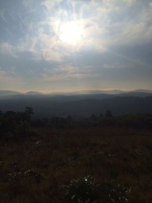 Image 1 - 153901