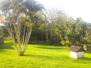 Image 10 - 15494