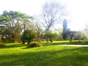 Image 13 - 15494