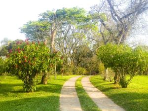 Image 14 - 15494