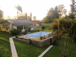 Image 37 - 15494