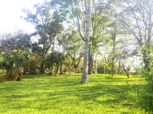 Image 8 - 15494