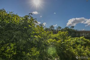 Image 8 - 155950