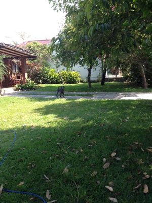 Image 1 - 156297