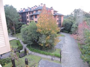 Image 31 - 156782