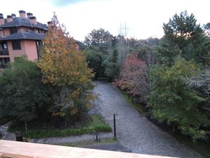 Image 3 - 156782