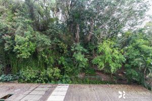 Image 23 - 157178