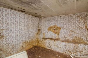 Image 40 - 157475