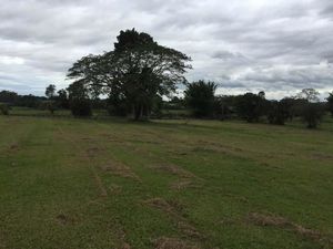 Image 5 - 157774