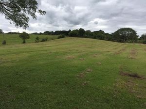 Image 6 - 157774