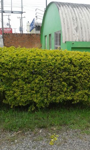 Image 10 - 158357
