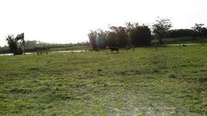 Image 6 - 159538