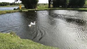 Image 8 - 159538