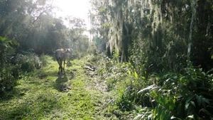 Image 10 - 159538