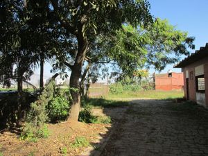 Image 35 - 159550