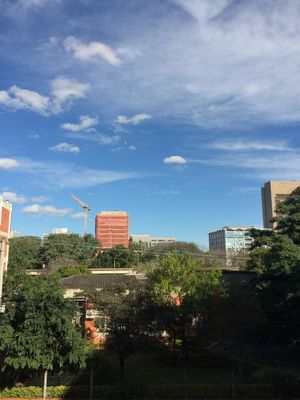 Image 8 - 159564