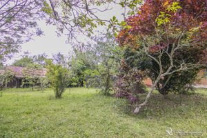 Image 36 - 159701